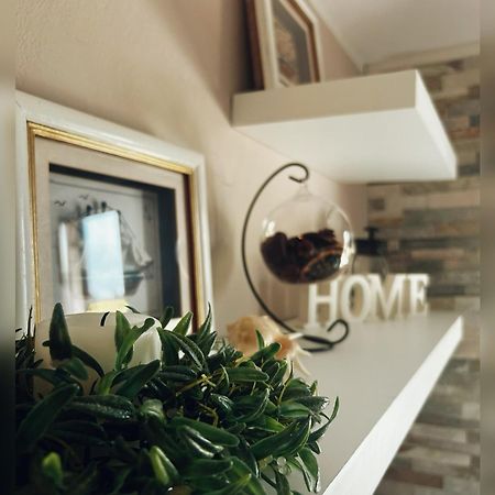 Loft Seca Villa Lucija Eksteriør bilde